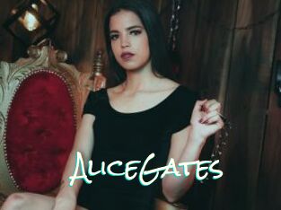 AliceGates