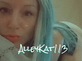 AlleyKat113