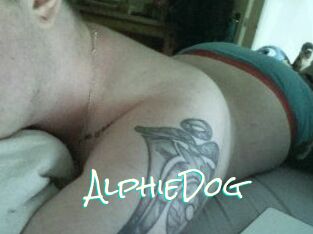 Alphie_Dog