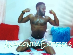 AnacondaExpress