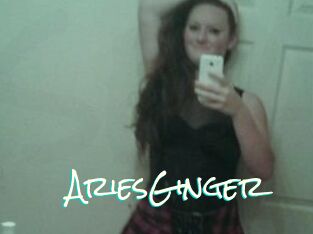 AriesGinger