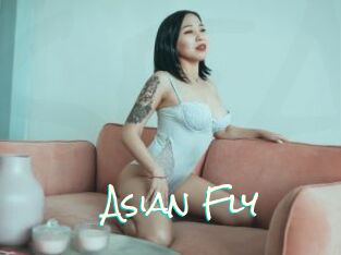 Asian_Fly