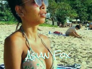 Asian_Fox