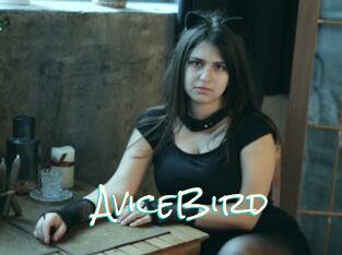 AviceBird