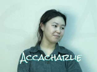 Accacharlie