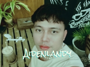 Aidenlandy