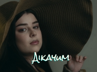 Aikayum