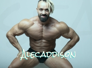 Alecaddison