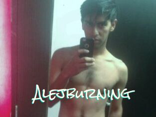 Alejburning