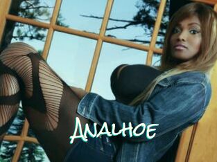 Analhoe