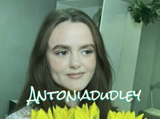 Antoniadudley