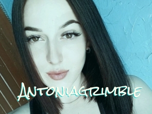 Antoniagrimble