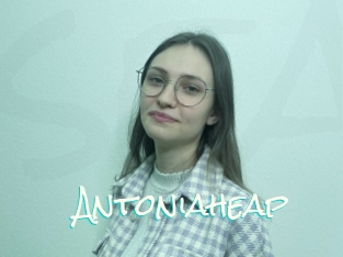 Antoniaheap