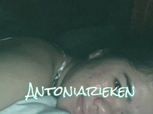 Antoniarieken