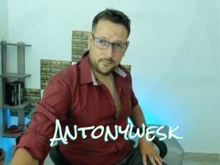 Antonywesk