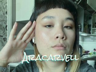 Aracarvell