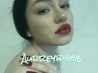 Audreybigge