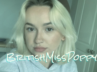 BritishMissPoppy