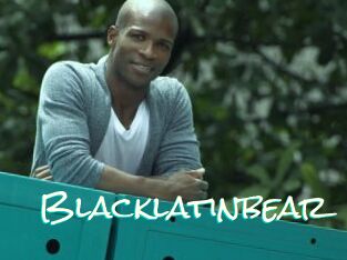 Blacklatinbear