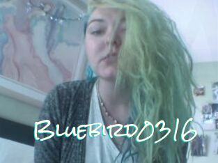 Bluebird0316