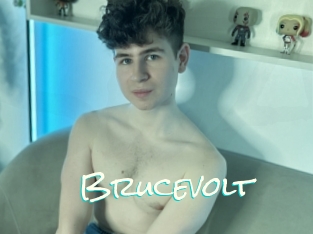 Brucevolt