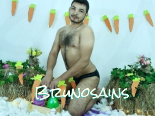 Brunosains