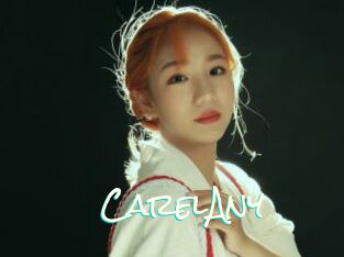 CarelAny