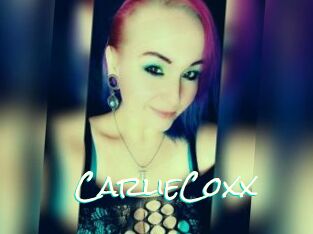 CarlieCoxx