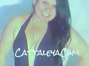 CattaleyaCum