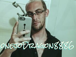 ConejoDragon8886