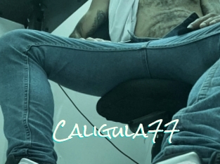 Caligula77