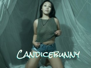 Candicebunny