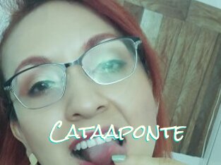 Cataaponte