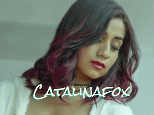 Catalinafox