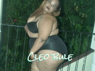 Cleo_bule