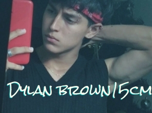 Dylan_brown15cm