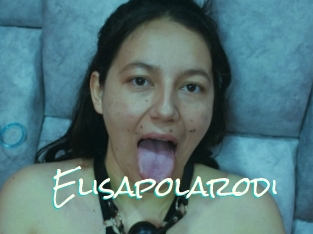 Elisapolarodi