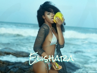 Elishara