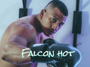 Falcon_hot