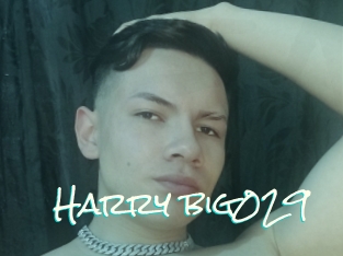 Harry_big029