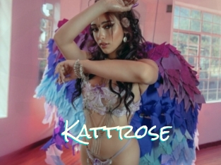 Kattrose