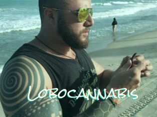 Lobocannabis