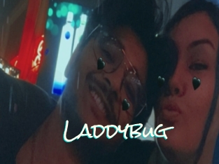 Laddybug