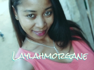 Laylahmorgane