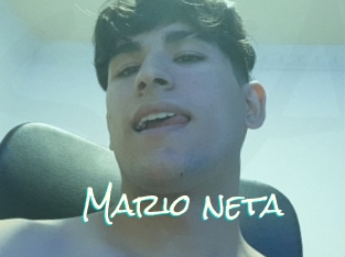 Mario_neta