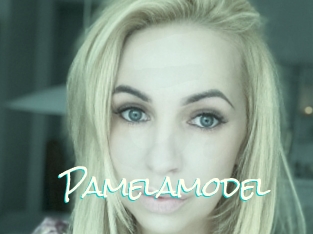 Pamelamodel