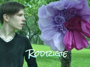 Rodrigie