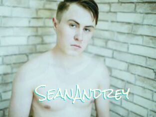 SeanAndrey