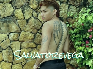 Salvatorevega