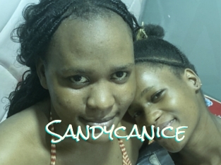 Sandycanice